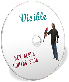 A new Visible album