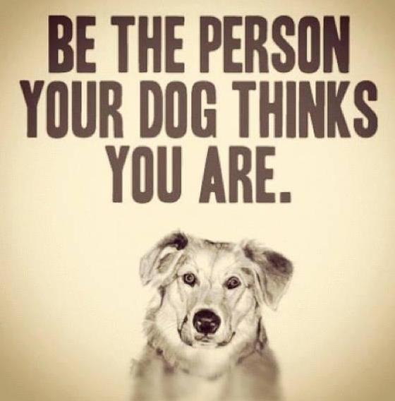 Be The Person your Dog Thinks You Are