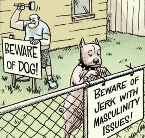 Dog toon, Beware of the guy