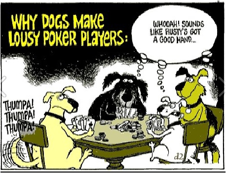 Dog Toon, Dogs Make Lousy Poker Players