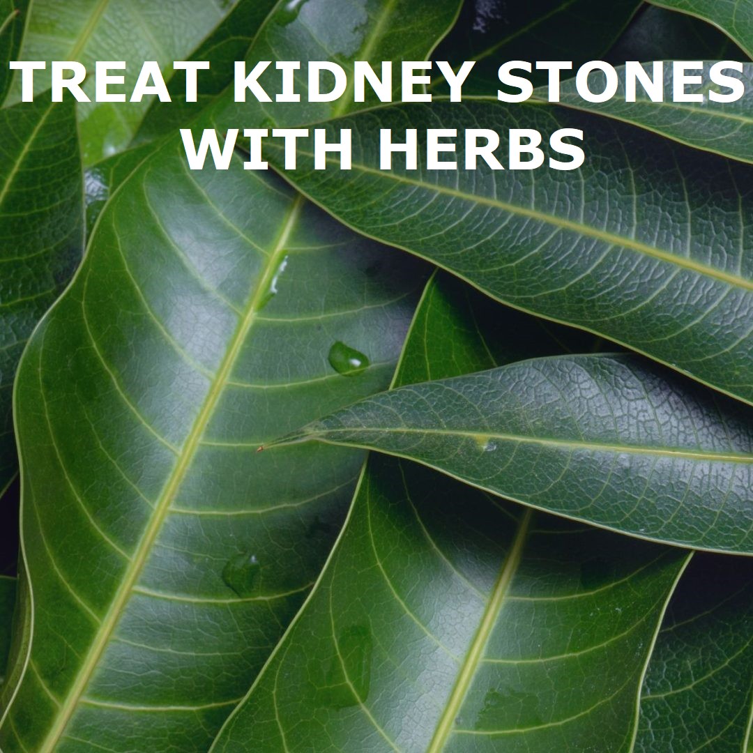 Treat Kidney Stones with Herbs